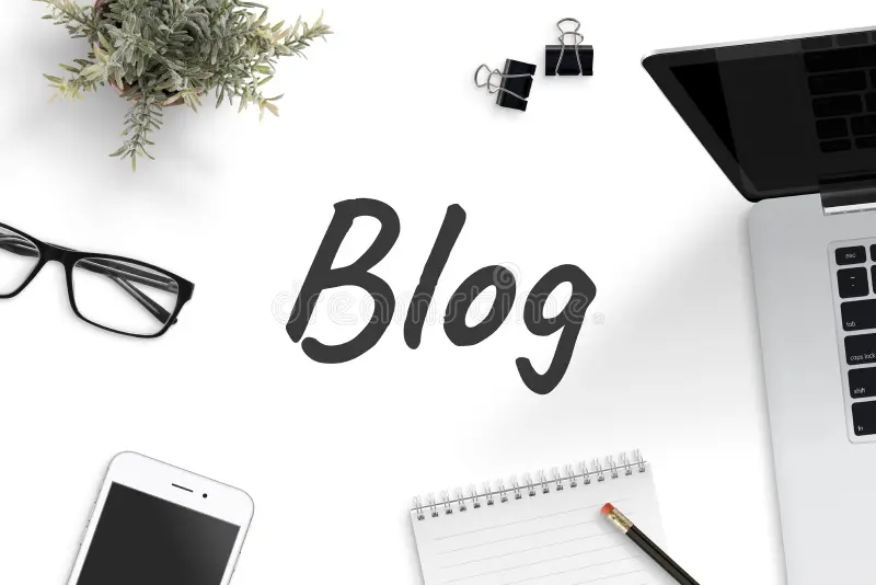 digital marketer blog image beebirisvana